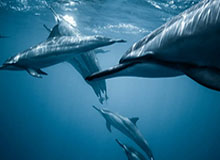 开云电竞-U23国足期待创造历史